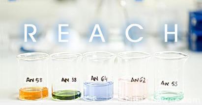 REACH法規