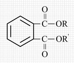 鄰苯二甲酸酯 (PHTHALATE) 危害有哪些？